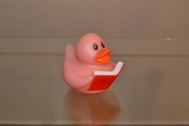 Canard pour le bain