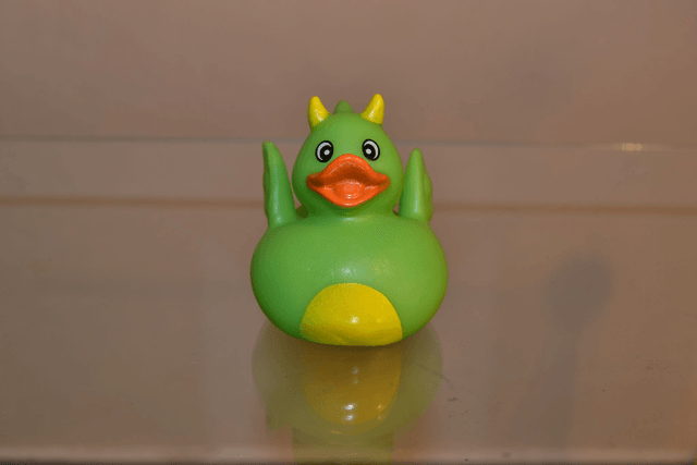 Canard diablotin