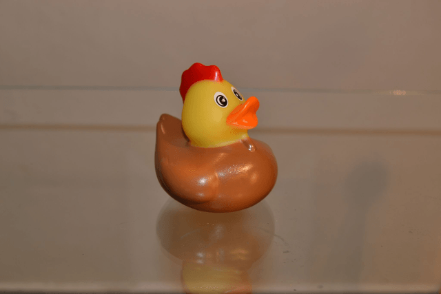 Canard à cretes