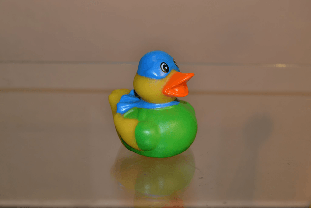 Canard masqué