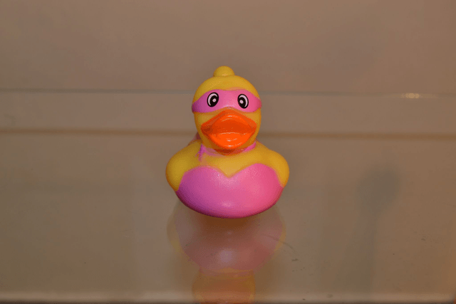 Canard masqué