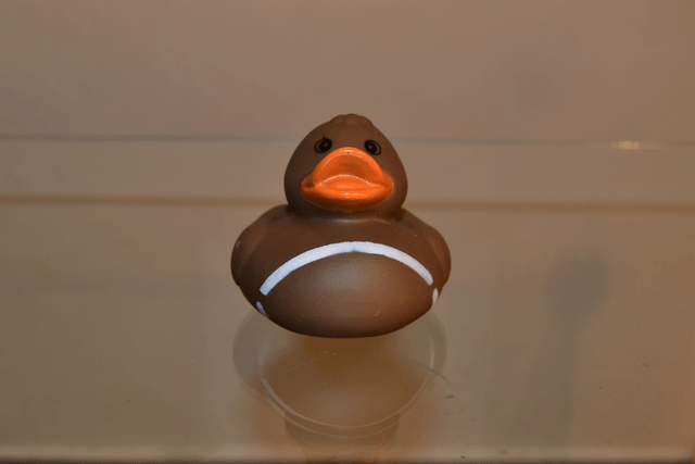 Canard chocolat
