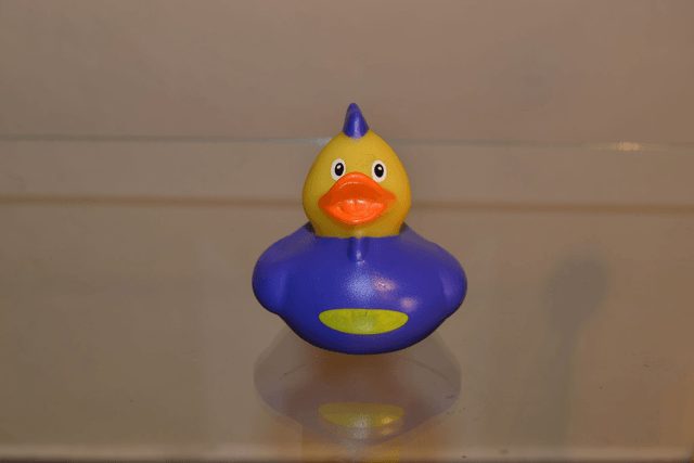 Canard punk