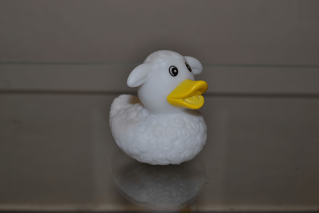 Canard mouton