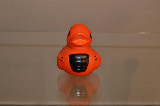 Canard déco