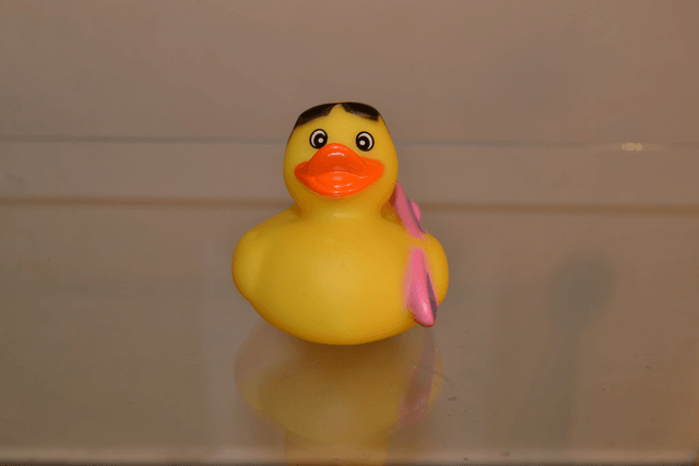 Canard surfeur