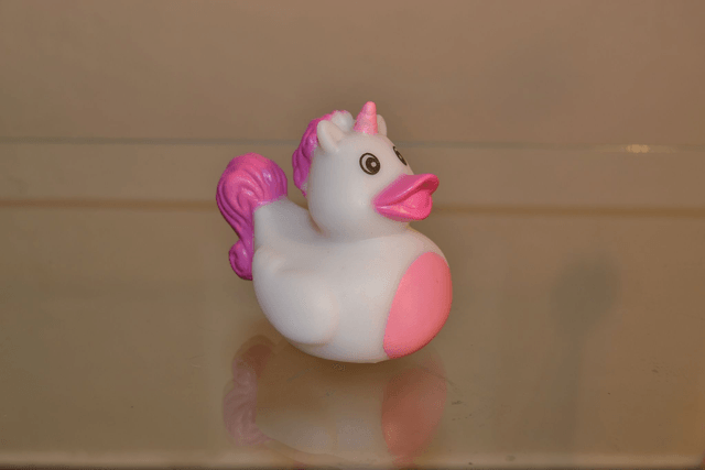 Canard licorne