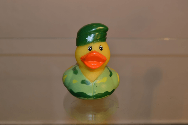 canard militaire
