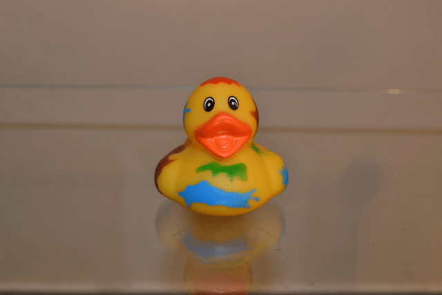 Canard Haloween