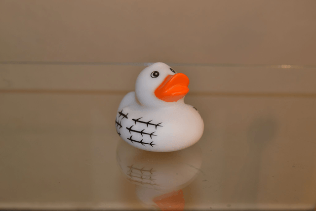 Canard barbelé