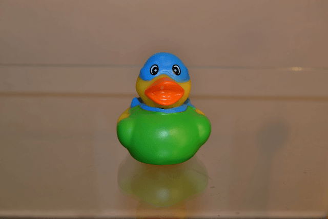 Canard masqué