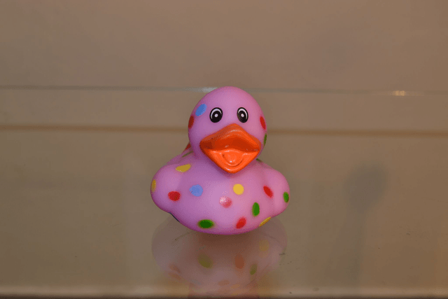 Canard carnaval