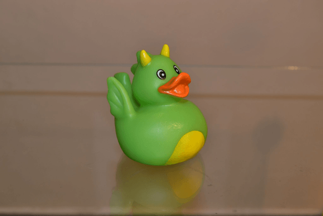 Canard diablotin