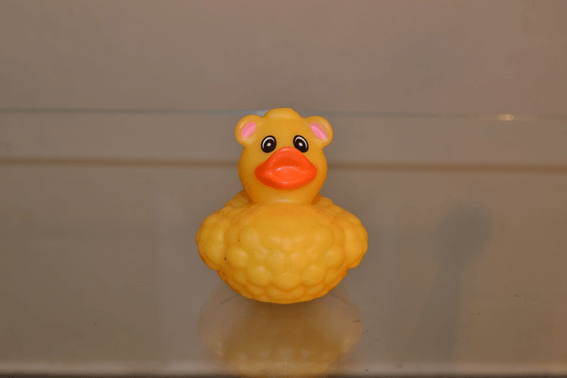 Canard mouton coloré