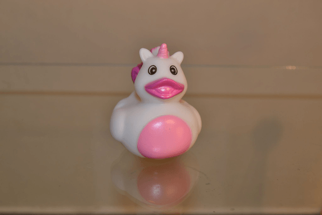 Canard licorne