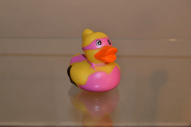 Canard masqué