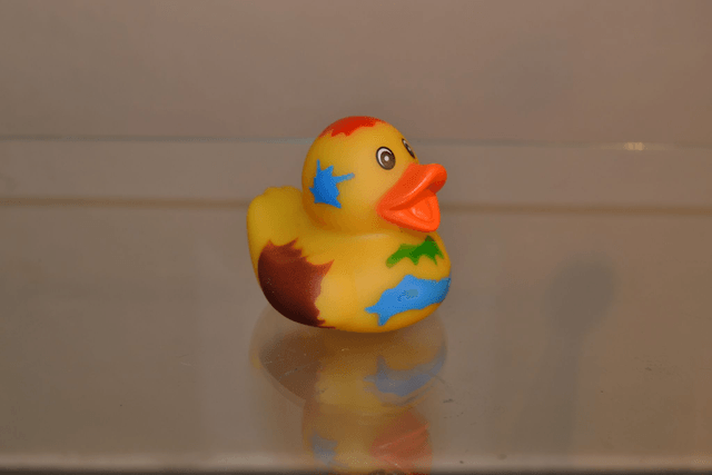 Canard Haloween