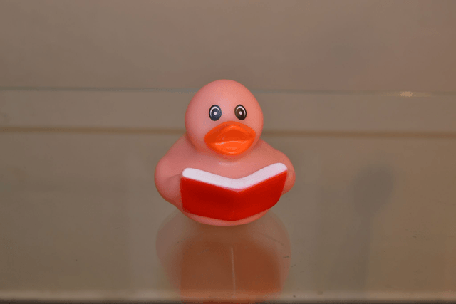 Canard pour le bain