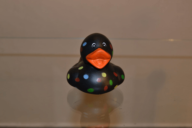 Black canard à pois