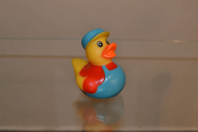 Charmand petit canard fun