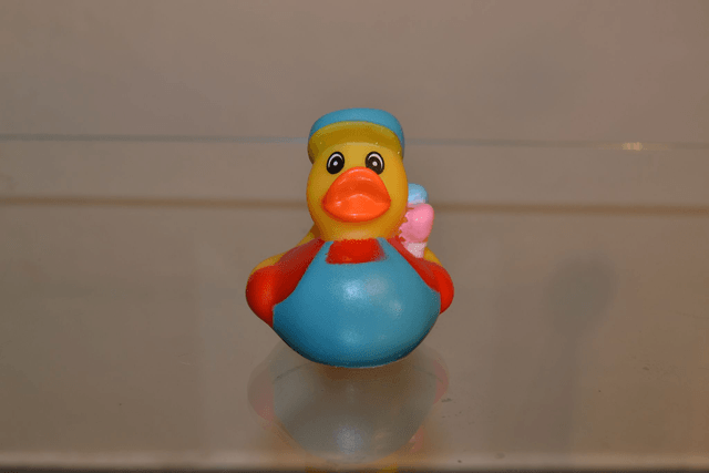 Charmand petit canard fun
