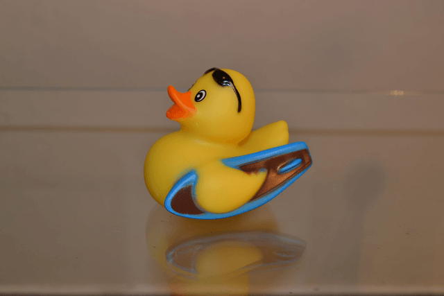Canard surfeur