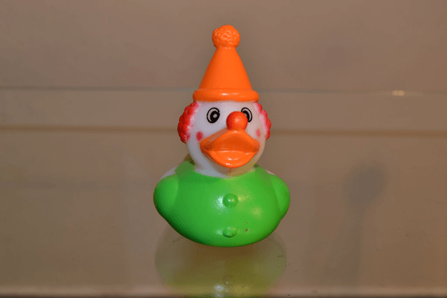 canard clown