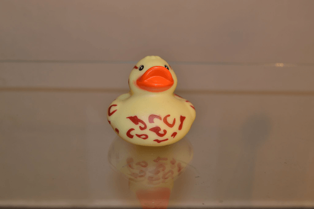Canard tribal