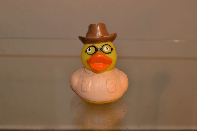 Canard à lunettes et chapeau