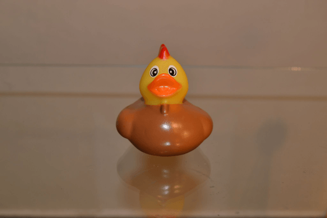 Canard à cretes