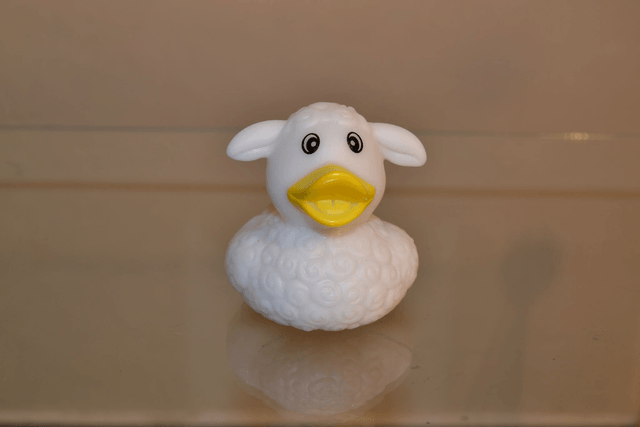 Canard mouton