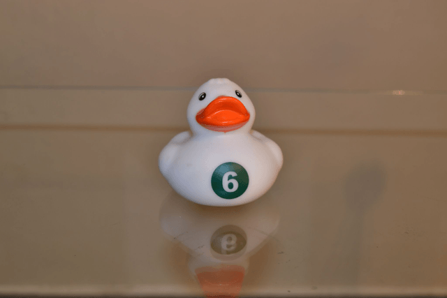 Canard fun