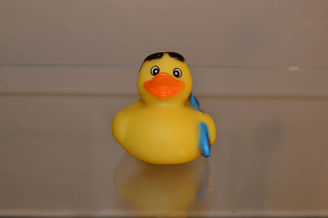Canard surfeur