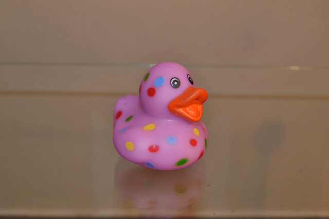 Canard carnaval