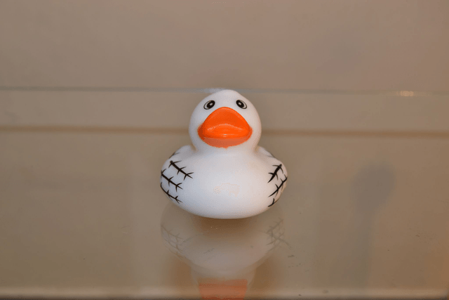 Canard barbelé