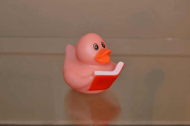 Canard pour le bain