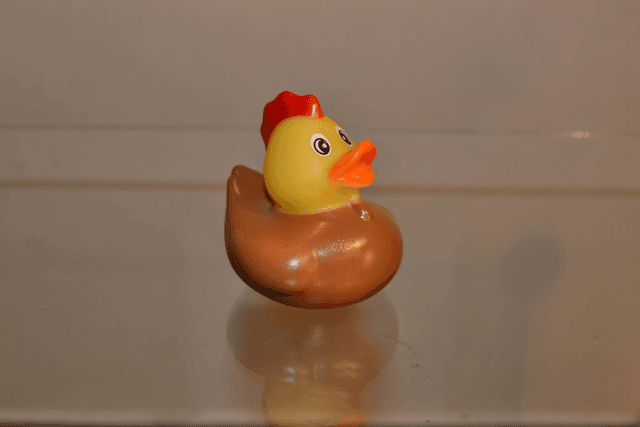 Canard à cretes