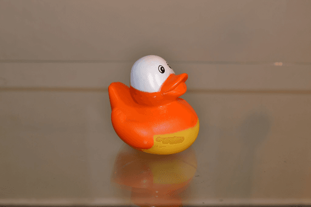 Canard masqué