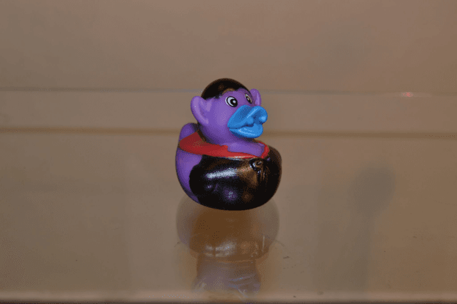Canard vampire
