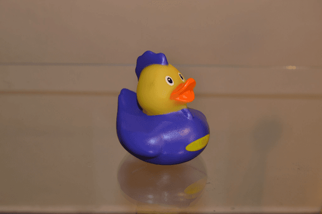 Canard punk