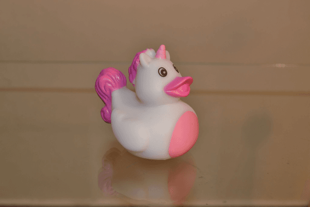Canard licorne