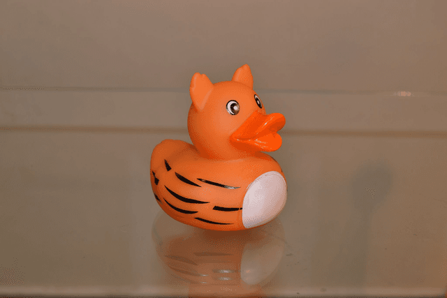 Canard a rayures