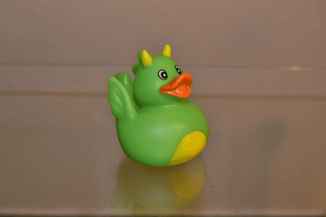 Canard diablotin