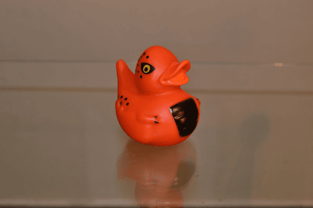 Canard déco