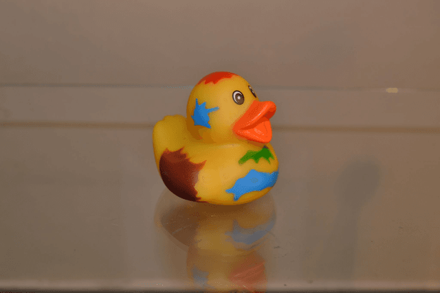 Canard Haloween