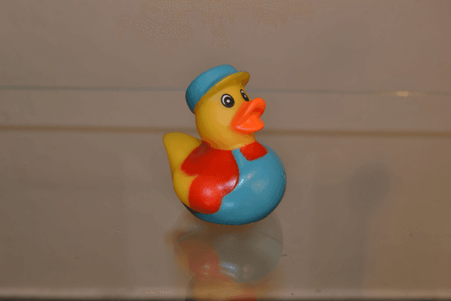 Charmand petit canard fun