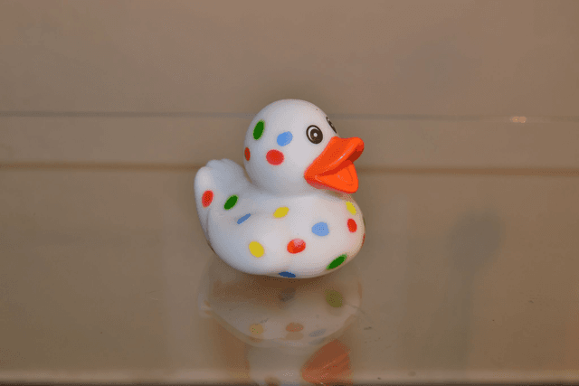 Canard blanc a pois