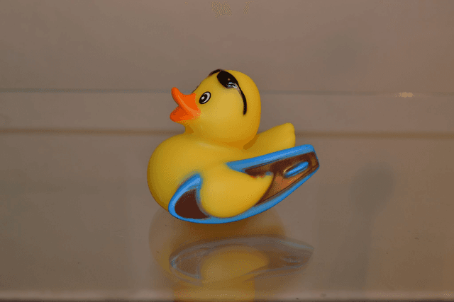Canard surfeur