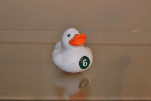Canard fun