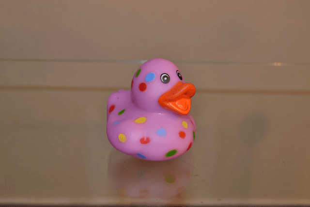Canard carnaval